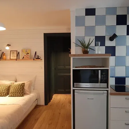 Appartement Biarritz, 1 Piece, 2 Personnes - Fr-1-239-658 公寓 比亚里茨