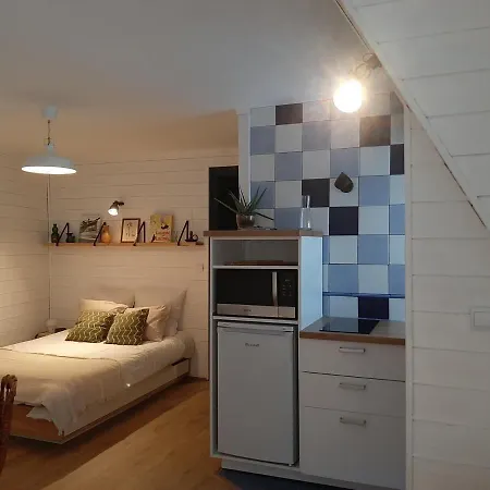 Appartement Biarritz, 1 Piece, 2 Personnes - Fr-1-239-658 *
